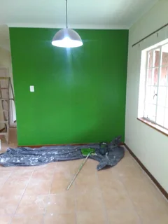 PROFESSIONAL PAINTERS