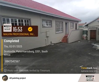 Professional Painters