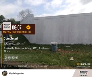 PROFESSIONAL PAINTERS