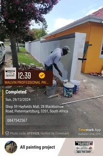 PROFESSIONAL PAINTERS