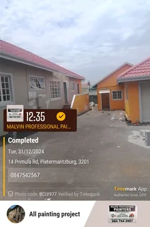 PROFESSIONAL PAINTERS