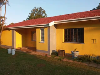 Professional Painters