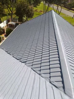 Professional Painters