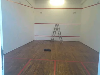 PROFESSIONAL PAINTERS