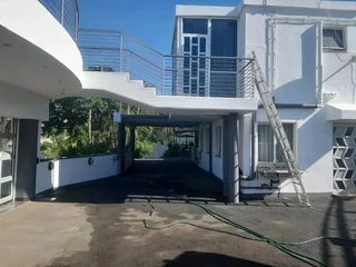 PROFESSIONAL PAINTERS