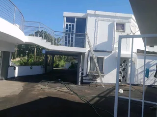 PROFESSIONAL PAINTERS