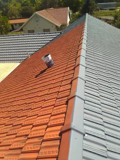 Professional Painters