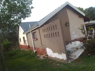 PROFESSIONAL PAINTERS