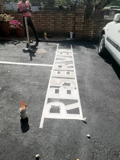 Professional Painters