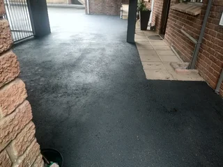 PROFESSIONAL PAINTERS