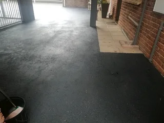 PROFESSIONAL PAINTERS