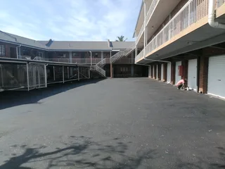 PROFESSIONAL PAINTERS