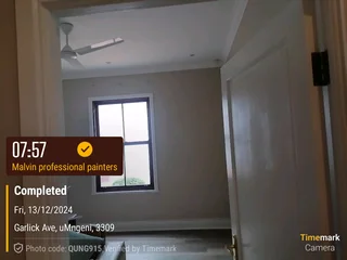 PROFESSIONAL PAINTERS