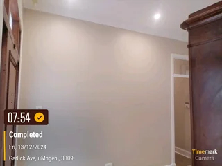 PROFESSIONAL PAINTERS