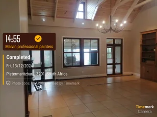 PROFESSIONAL PAINTERS