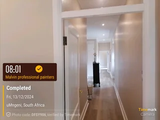 PROFESSIONAL PAINTERS