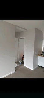 PROFESSIONAL PAINTERS