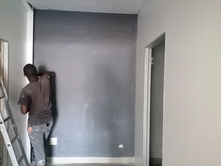Professional Painters