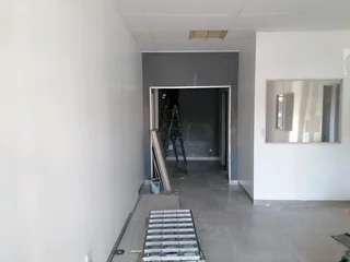 PROFESSIONAL PAINTERS