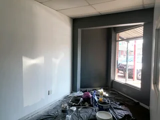 PROFESSIONAL PAINTERS