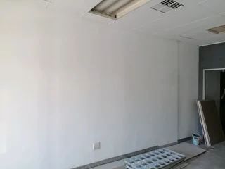 PROFESSIONAL PAINTERS