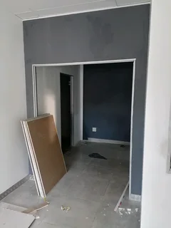 PROFESSIONAL PAINTERS