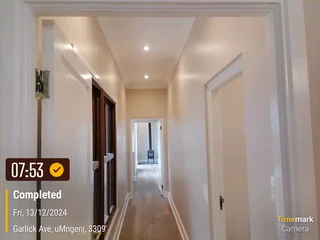 PROFESSIONAL PAINTERS