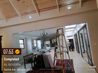 PROFESSIONAL PAINTERS
