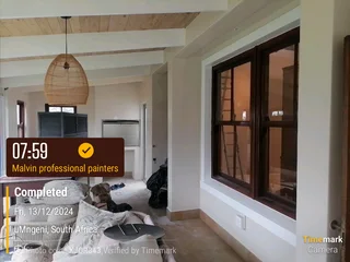 PROFESSIONAL PAINTERS