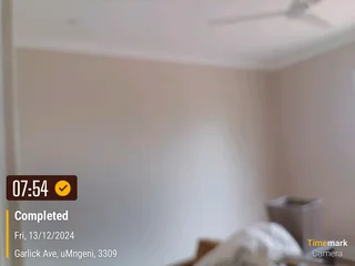 PROFESSIONAL PAINTERS