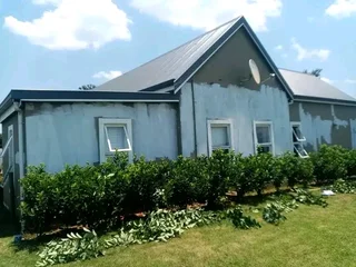 PROFESSIONAL PAINTERS