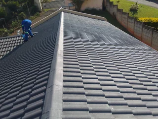 PROFESSIONAL PAINTERS