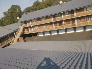 PROFESSIONAL PAINTERS