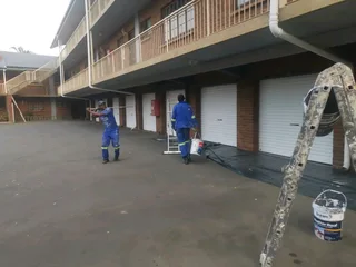 PROFESSIONAL PAINTERS