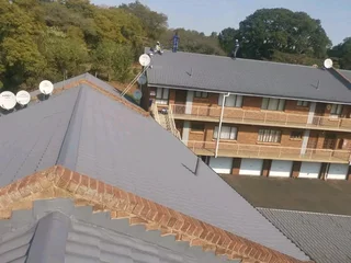 PROFESSIONAL PAINTERS