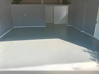 PROFESSIONAL PAINTERS