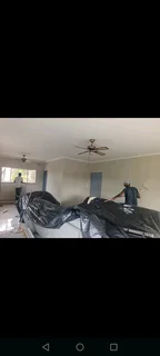 PROFESSIONAL PAINTERS