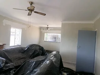 PROFESSIONAL PAINTERS