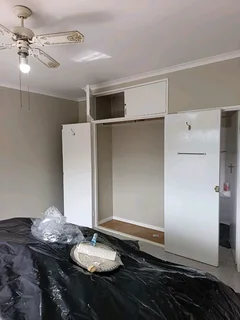 PROFESSIONAL PAINTERS