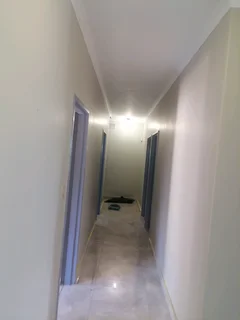 PROFESSIONAL PAINTERS