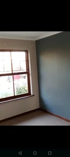 Professional Painters