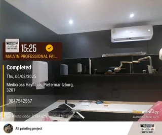 Professional Painters