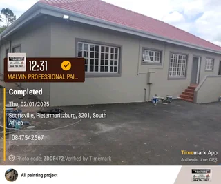 PROFESSIONAL PAINTERS