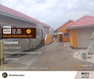 PROFESSIONAL PAINTERS