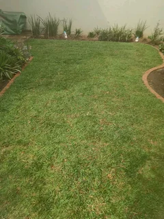 Shelton instant lawn supply and install