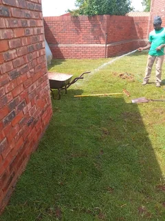 Shelton instant lawn supply and install