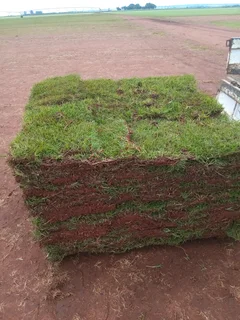 Shelton instant lawn supply and install