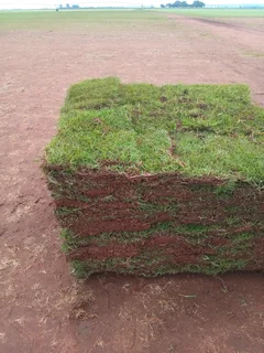 Shelton instant lawn supply and install