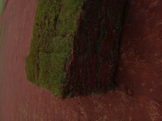 Shelton instant lawn supply and install