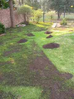 Shelton instant lawn supply and install